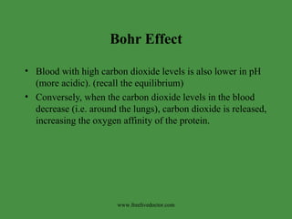Bohr Effect Blood with high carbon dioxide levels is also lower in pH (more acidic). (recall the equilibrium) Conversely, when the carbon dioxide levels in the blood decrease (i.e. around the lungs), carbon dioxide is released, increasing the oxygen affinity of the protein.  www.freelivedoctor.com 