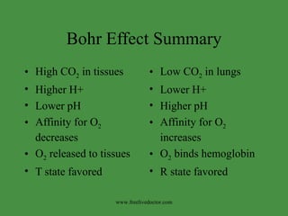 Bohr Effect Summary High CO 2  in tissues  Higher H+ Lower pH Affinity for O 2  decreases O 2  released to tissues T state favored Low CO 2  in lungs  Lower H+ Higher pH Affinity for O 2  increases O 2  binds hemoglobin R state favored www.freelivedoctor.com 