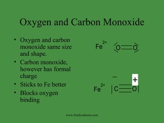 Oxygen and Carbon Monoxide Oxygen and carbon monoxide same size and shape. Carbon monoxide, however has formal charge  Sticks to Fe better Blocks oxygen binding www.freelivedoctor.com 