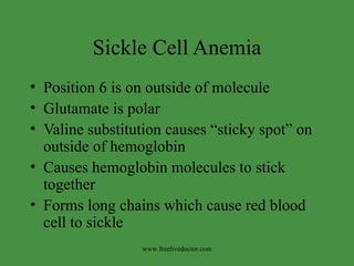 Sickle Cell Anemia Position 6 is on outside of molecule Glutamate is polar Valine substitution causes “sticky spot” on outside of hemoglobin Causes hemoglobin molecules to stick together Forms long chains which cause red blood cell to sickle www.freelivedoctor.com 