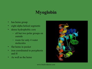 Myoglobin has heme group eight alpha helical segments dense hydrophobic core all but two polar groups on outside room for only 4 water molecules flat heme in pocket iron coordinated to poryphorin and H As well as the heme www.freelivedoctor.com 