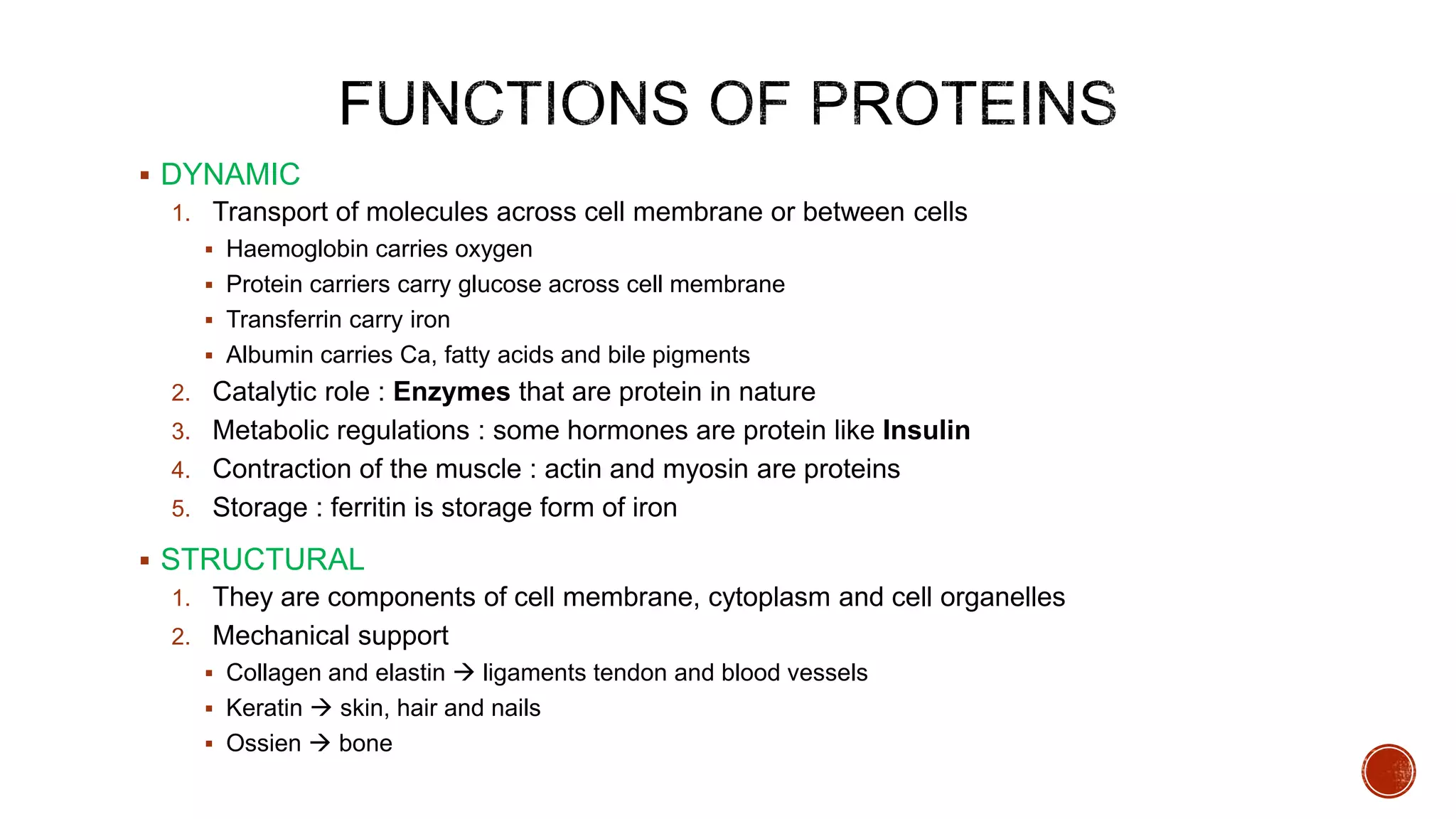  DYNAMIC
1. Transport of molecules across cell membrane or between cells
 Haemoglobin carries oxygen
 Protein carriers carry glucose across cell membrane
 Transferrin carry iron
 Albumin carries Ca, fatty acids and bile pigments
2. Catalytic role : Enzymes that are protein in nature
3. Metabolic regulations : some hormones are protein like Insulin
4. Contraction of the muscle : actin and myosin are proteins
5. Storage : ferritin is storage form of iron
 STRUCTURAL
1. They are components of cell membrane, cytoplasm and cell organelles
2. Mechanical support
 Collagen and elastin  ligaments tendon and blood vessels
 Keratin  skin, hair and nails
 Ossien  bone
 