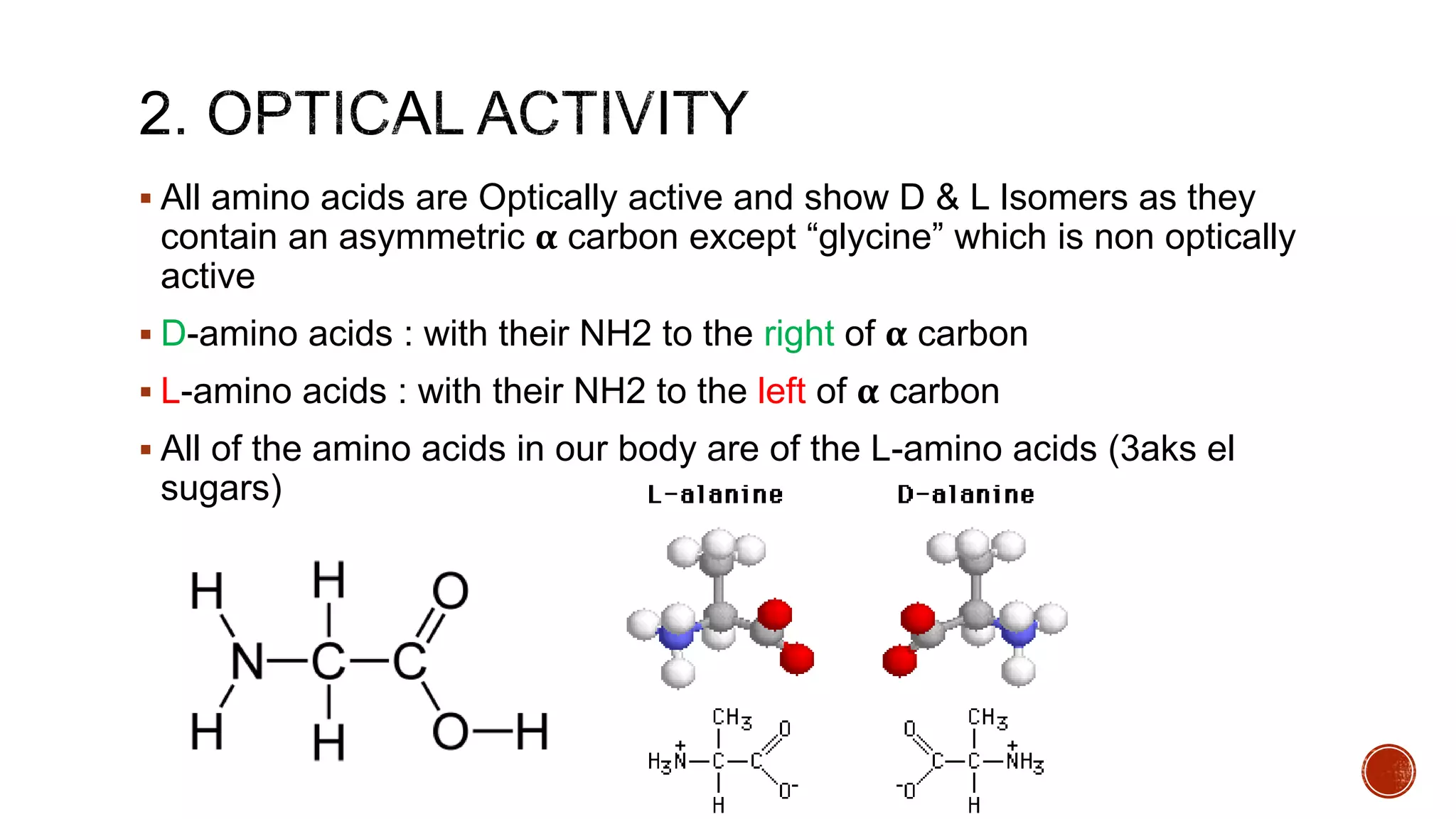  All amino acids are Optically active and show D & L Isomers as they
contain an asymmetric α carbon except “glycine” which is non optically
active
 D-amino acids : with their NH2 to the right of α carbon
 L-amino acids : with their NH2 to the left of α carbon
 All of the amino acids in our body are of the L-amino acids (3aks el
sugars)
 