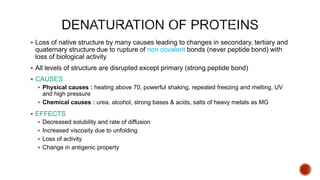  Loss of native structure by many causes leading to changes in secondary, tertiary and
quaternary structure due to rupture of non covalent bonds (never peptide bond) with
loss of biological activity
 All levels of structure are disrupted except primary (strong peptide bond)
 CAUSES
 Physical causes : heating above 70, powerful shaking, repeated freezing and melting, UV
and high pressure
 Chemical causes : urea, alcohol, strong bases & acids, salts of heavy metals as MG
 EFFECTS
 Decreased solubility and rate of diffusion
 Increased viscosity due to unfolding
 Loss of activity
 Change in antigenic property
 