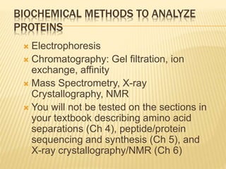 Protiens and peptids | PPT