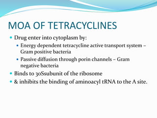 MOA OF TETRACYCLINES
 Drug enter into cytoplasm by:
 Energy dependent tetracycline active transport system –
Gram positive bacteria
 Passive diffusion through porin channels – Gram
negative bacteria
 Binds to 30Ssubunit of the ribosome
 & inhibits the binding of aminoacyl tRNA to the A site.
 