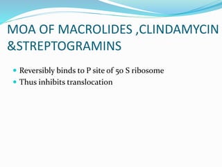 MOA OF MACROLIDES ,CLINDAMYCIN
&STREPTOGRAMINS
 Reversibly binds to P site of 50 S ribosome
 Thus inhibits translocation
 