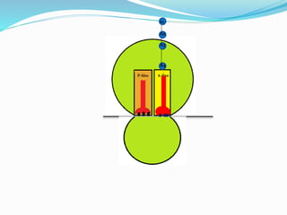 A4
P-Site A-Site
A3
A2
A1
 