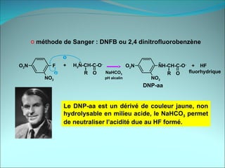 O Nh O2n Cl Biochimie structurale (protéines 2) .ppt