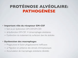 PROTÉINOSE ALVÉOLAIRE:
               PATHOGÉNÈSE


•   Important rôle du récepteur GM-CSF
    ‣   Soit via ↓/ dysfonction GM-CSF/GM-CSFr
    ‣ ↓/dysfonction GM-CSF → ↓macrophages alvéolaires
    ‣ Dysfonction du traitement du surfactant dans les alvéoles


•   Dysfonction des macrophages
    ‣ Phagocytose et fusion phagolysosome inefﬁcaces
    ‣ ↓ Migration en présence des stimulis chimioptaxiques
    ‣ Accumulation de macrophages alvéolaires décédés
 