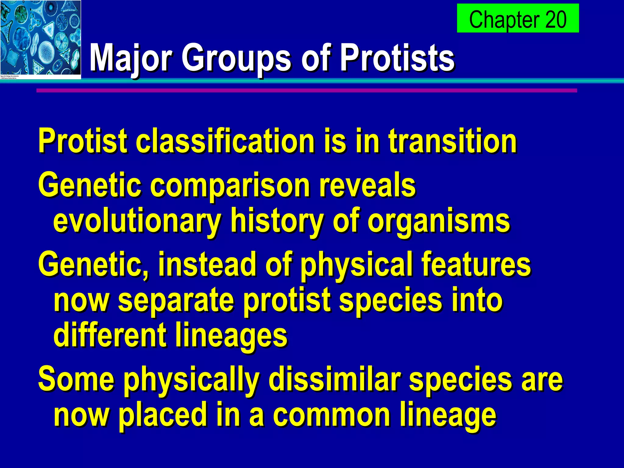 Major Groups of Protists Protist classification is in transition Genetic comparison reveals evolutionary history of organisms Genetic, instead of physical features now separate protist species into different lineages Some physically dissimilar species are now placed in a common lineage 