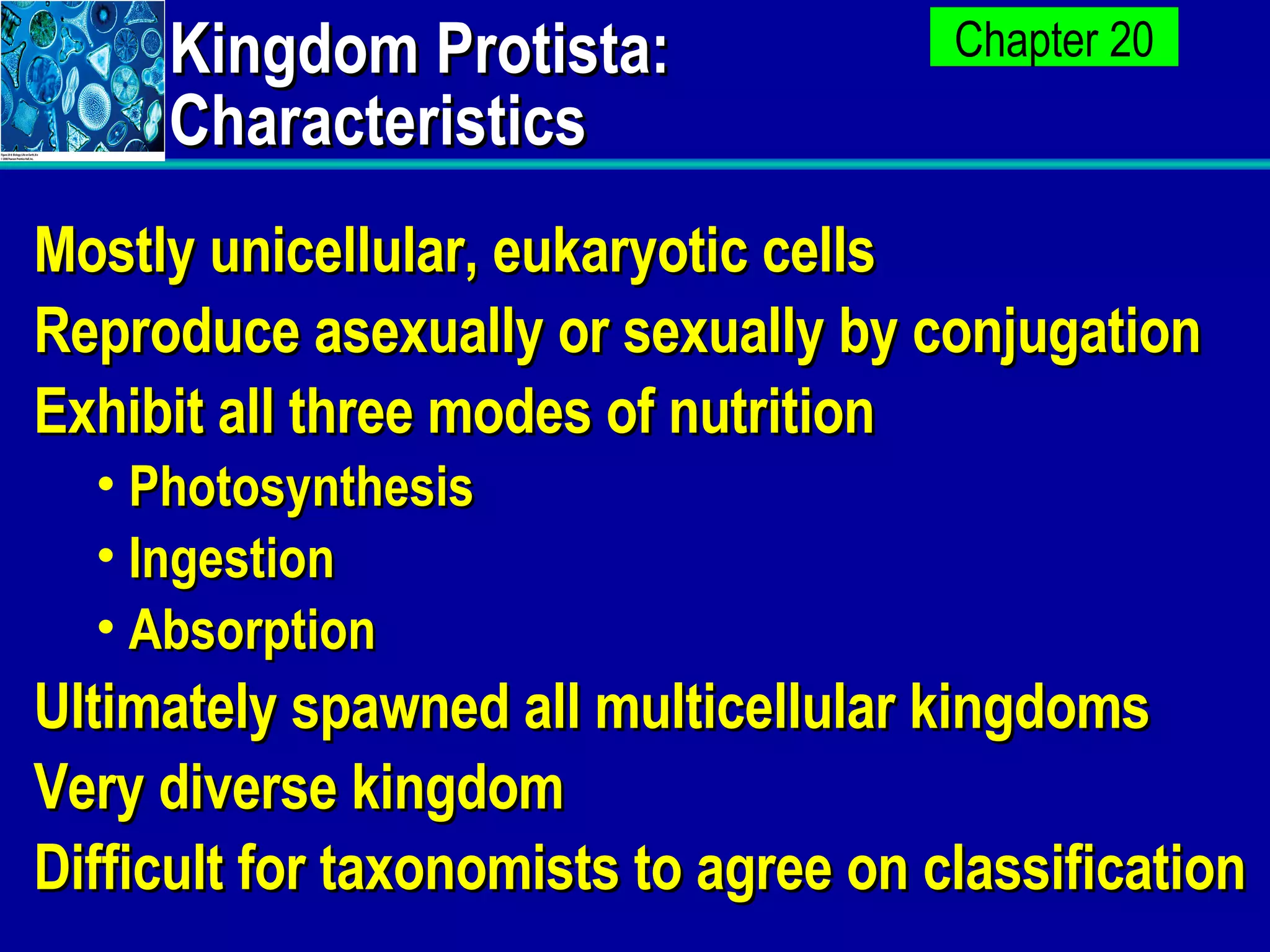 Kingdom Protista: Characteristics Mostly unicellular, eukaryotic cells Reproduce asexually or sexually by conjugation Exhibit all three modes of nutrition Photosynthesis Ingestion Absorption Ultimately spawned all multicellular kingdoms Very diverse kingdom Difficult for taxonomists to agree on classification 