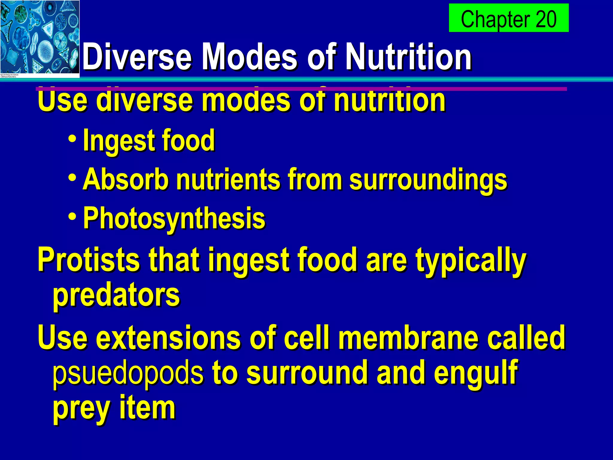 Diverse Modes of Nutrition Use diverse modes of nutrition Ingest food Absorb nutrients from surroundings Photosynthesis Protists that ingest food are typically predators Use extensions of cell membrane called  psuedopods  to surround and engulf prey item 