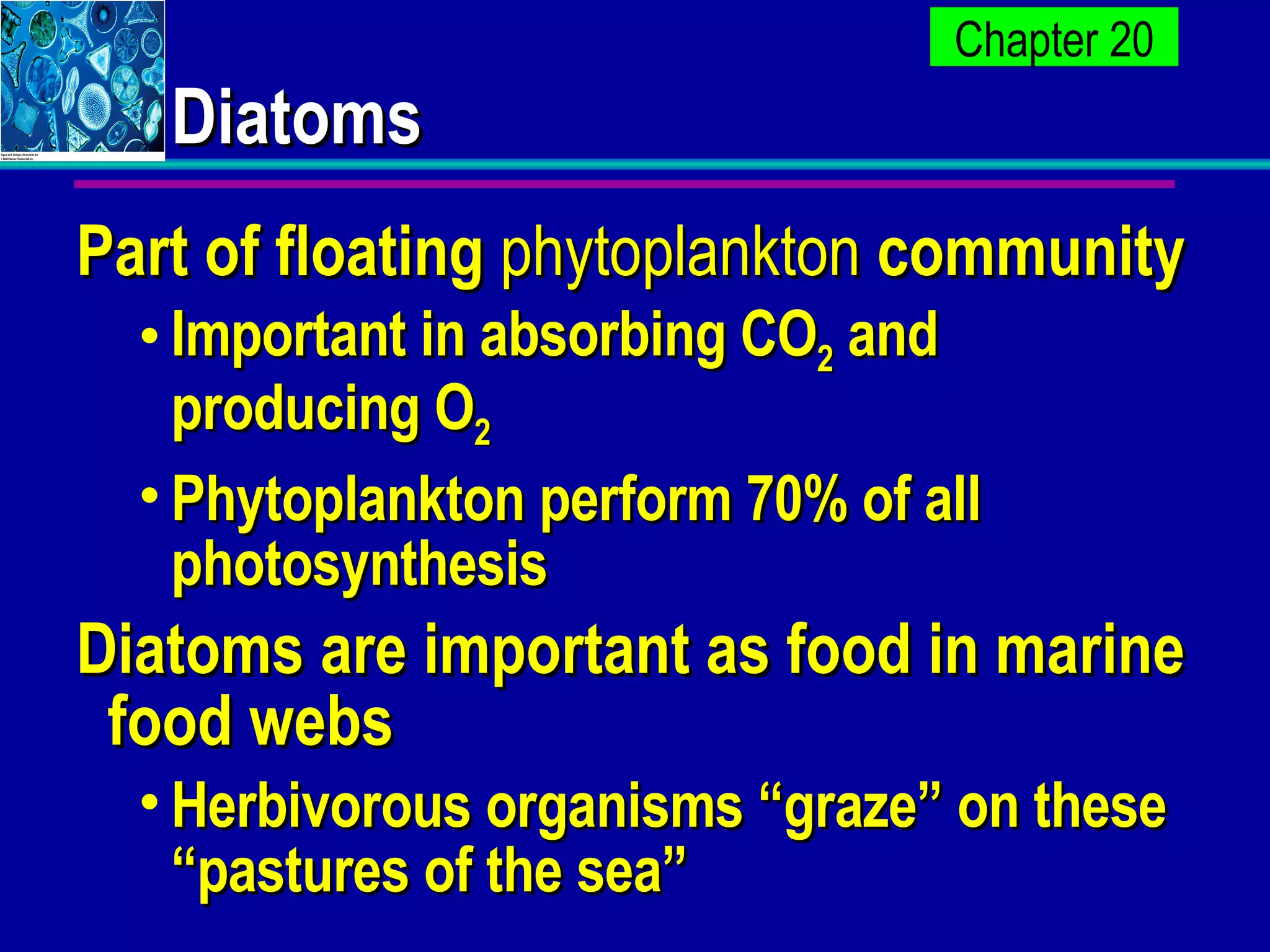 Diatoms Part of floating  phytoplankton  community Important in absorbing CO 2  and producing O 2 Phytoplankton perform 70% of all photosynthesis Diatoms are important as food in marine food webs Herbivorous organisms “graze” on these “pastures of the sea” 
