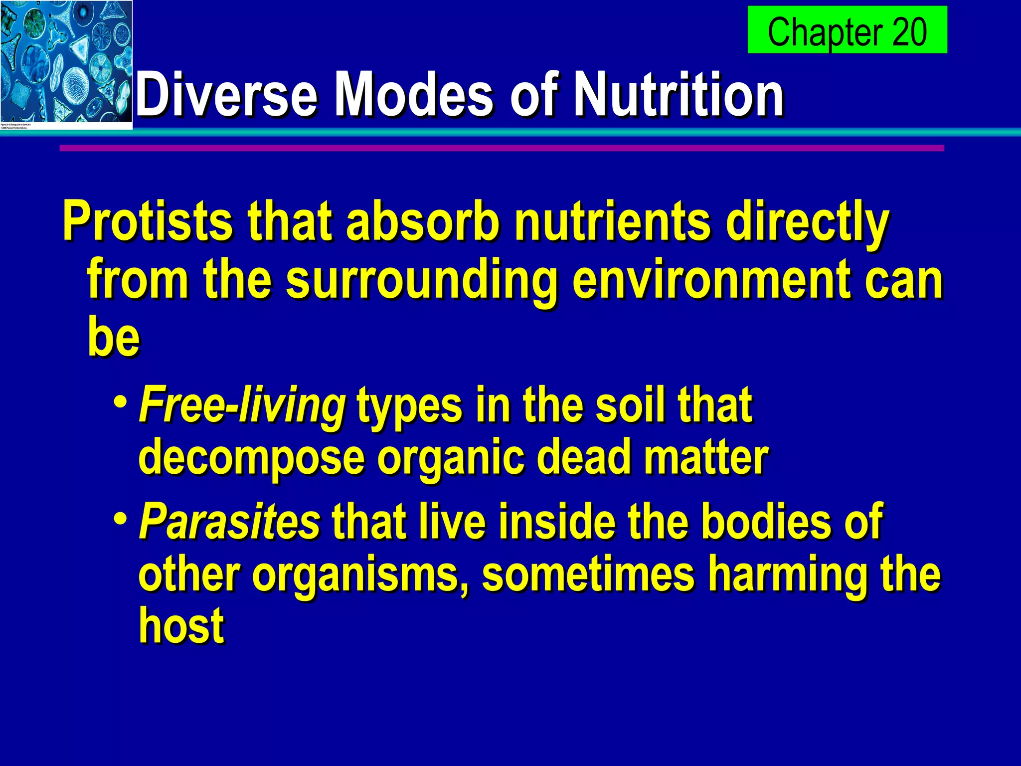 Diverse Modes of Nutrition Protists that absorb nutrients directly from the surrounding environment can be Free-living  types in the soil that decompose organic dead matter Parasites  that live inside the bodies of other organisms, sometimes harming the host  