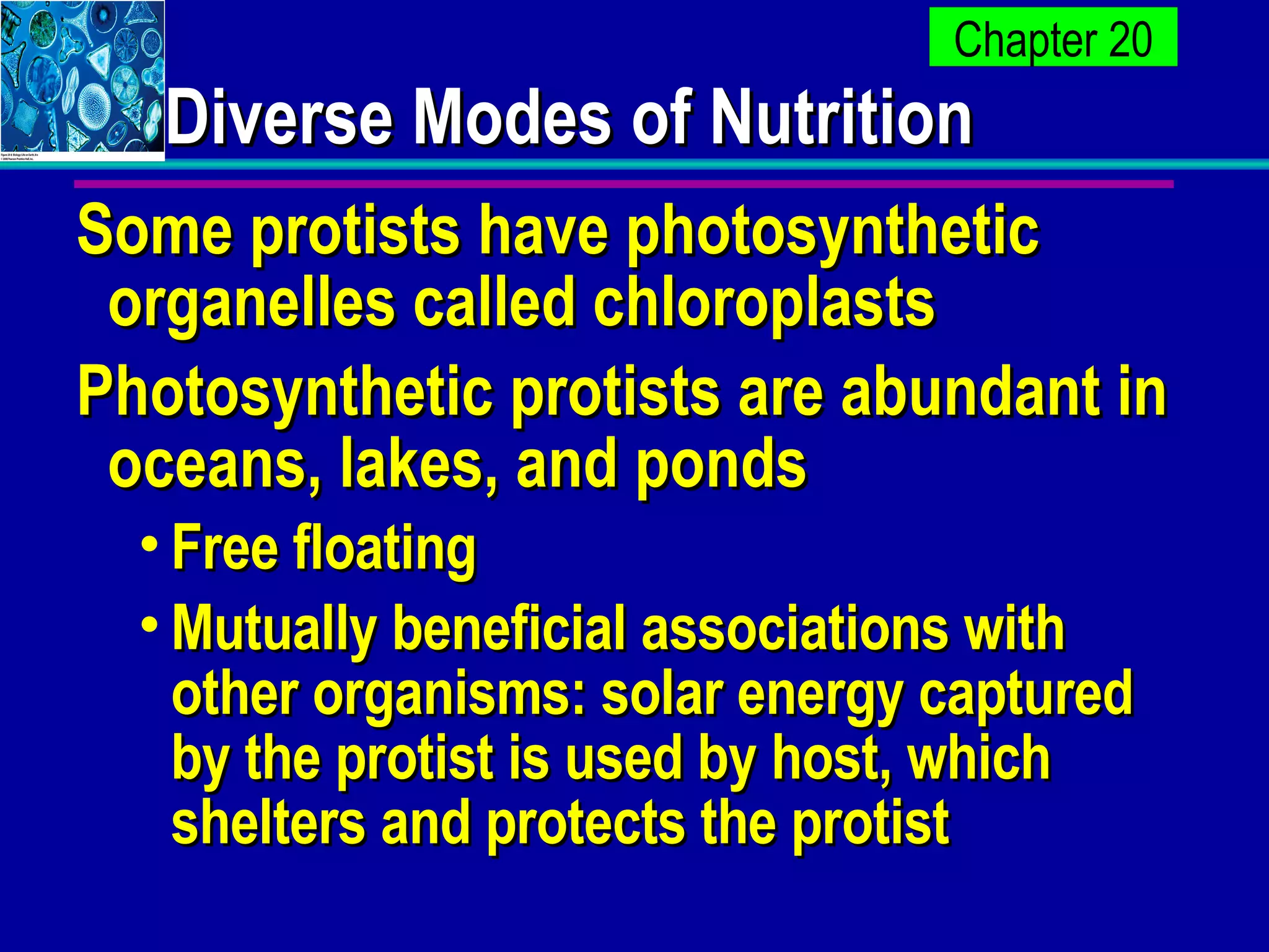 Diverse Modes of Nutrition Some protists have photosynthetic organelles called chloroplasts Photosynthetic protists are abundant in oceans, lakes, and ponds Free floating Mutually beneficial associations with other organisms: solar energy captured by the protist is used by host, which shelters and protects the protist  