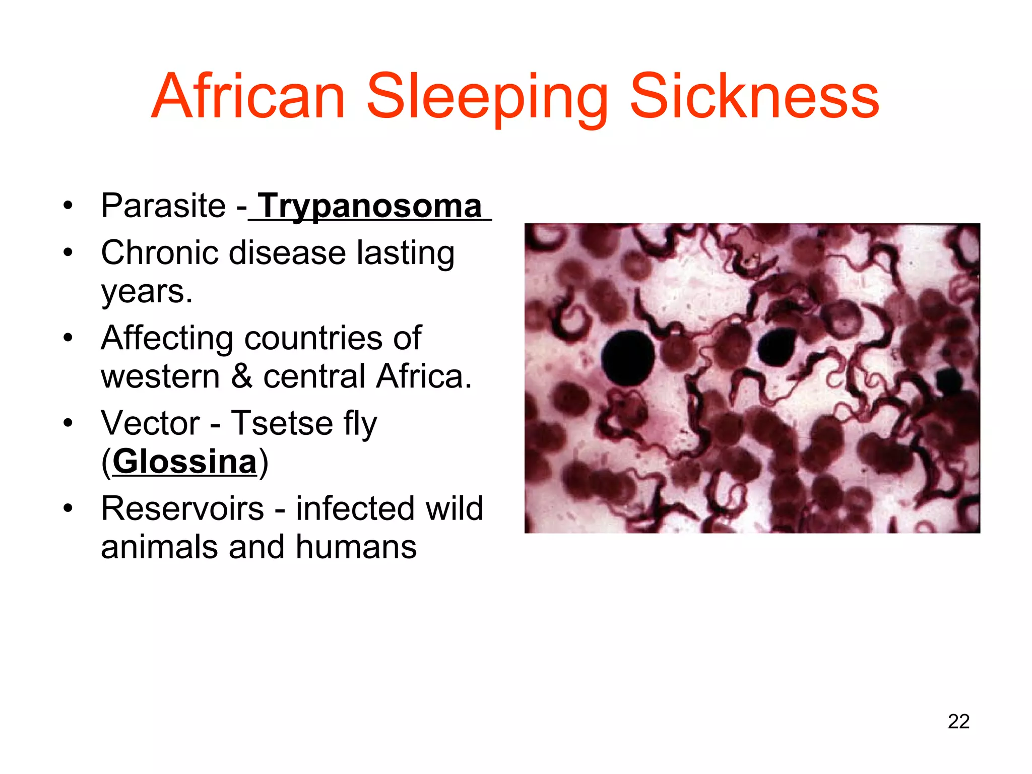 African Sleeping Sickness Parasite -   Trypanosoma   Chronic disease lasting years. Affecting countries of western & central Africa. Vector - Tsetse fly  ( Glossina ) Reservoirs - infected wild animals and humans 