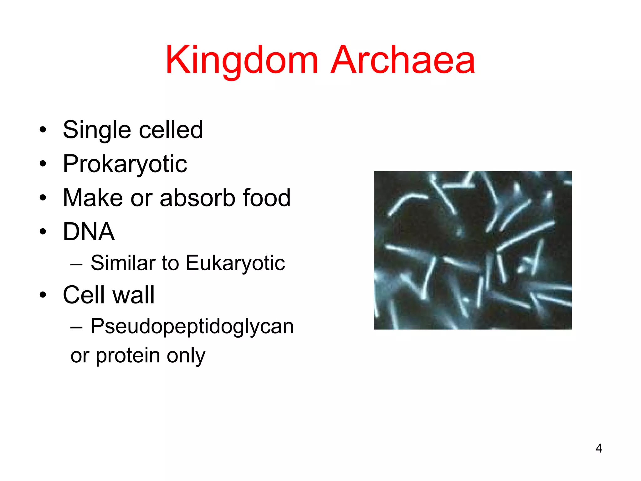 Kingdom Archaea Single celled Prokaryotic Make or absorb food DNA Similar to Eukaryotic Cell wall Pseudopeptidoglycan or protein only 