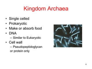 Kingdom Archaea Single celled Prokaryotic Make or absorb food DNA Similar to Eukaryotic Cell wall Pseudopeptidoglycan or protein only 