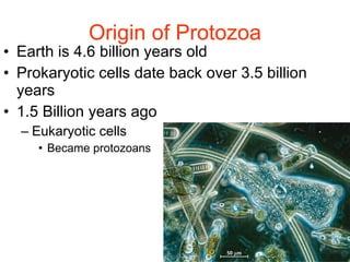 Origin of Protozoa Earth is 4.6 billion years old Prokaryotic cells date back over 3.5 billion years 1.5 Billion years ago Eukaryotic cells  Became protozoans 