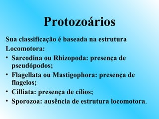 Protozoários
Sua classificação é baseada na estrutura
Locomotora:
• Sarcodina ou Rhizopoda: presença de
  pseudópodos;
• Flagellata ou Mastigophora: presença de
  flagelos;
• Cilliata: presença de cílios;
• Sporozoa: ausência de estrutura locomotora.
 