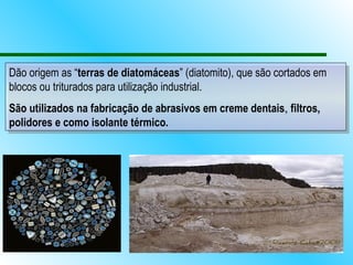 Dão origem as “terras de diatomáceas” (diatomito), que são cortados em
blocos ou triturados para utilização industrial.
São utilizados na fabricação de abrasivos em creme dentais, filtros,
polidores e como isolante térmico.
 