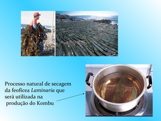 Processo natural de secagem
da feofícea Laminaria que
será utilizada na
 produção do Kombu
 