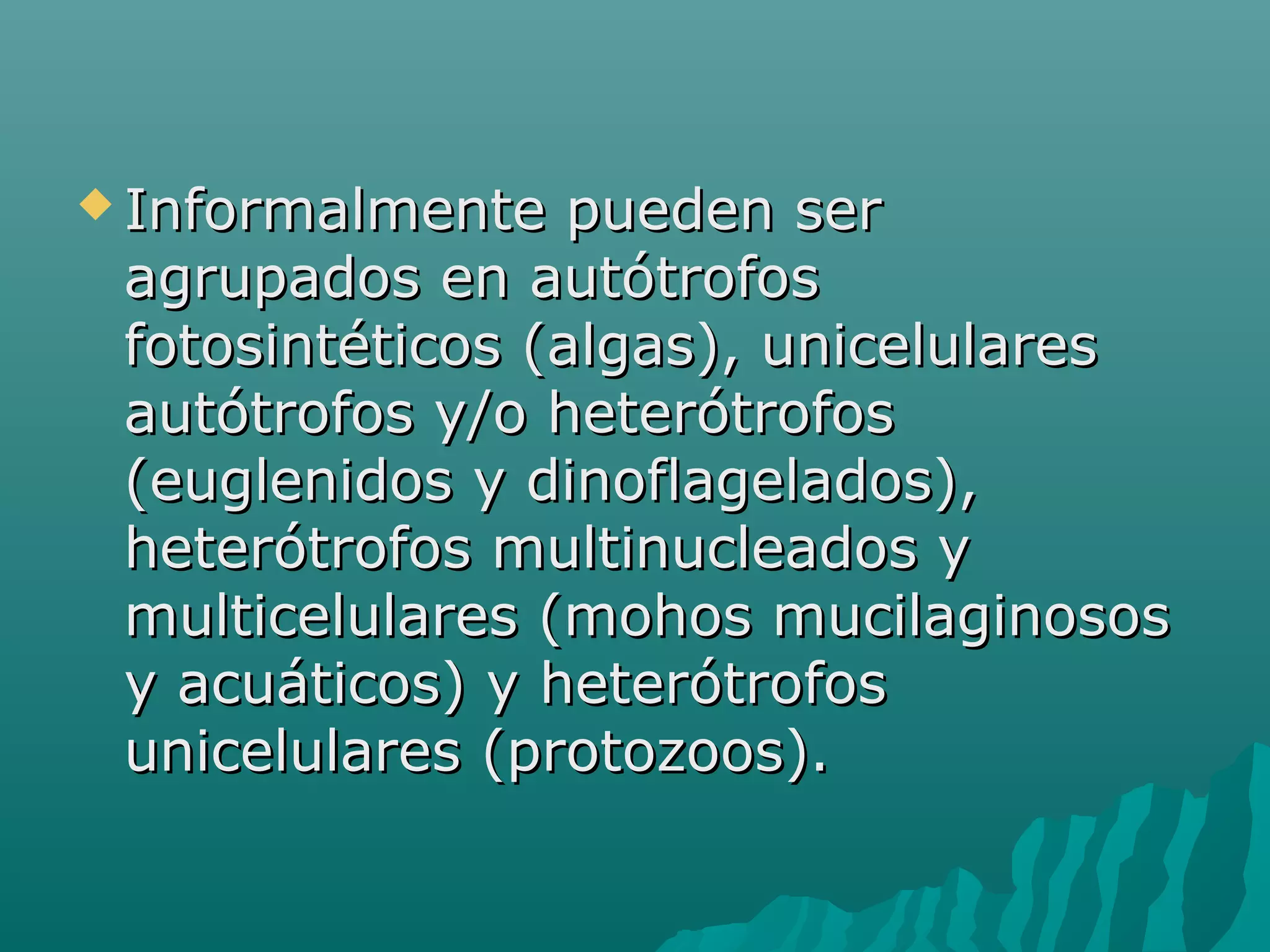 Protista | PPT