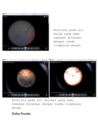 Protista pada air
                       kolam yang kami
                       temukan ditandai
                       dengan tanda
                       lingkaran merah.




Protista pada air selokan yang kami
temukan ditandai dengan tanda lingkaran
merah.
 