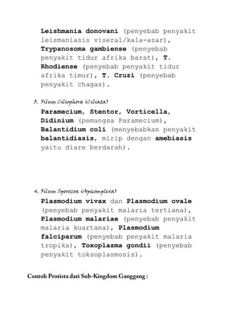 Leishmania donovani (penyebab penyakit
  leismaniasis viseral/kala-azar),
  Trypanosoma gambiense (penyebab
  penyakit tidur afrika barat), T.
  Rhodiense (penyebab penyakit tidur
  afrika timur), T. Cruzi (penyebab
  penyakit chagas).

3. Filum Ciliophora (Ciliata)
  Paramecium, Stentor, Vorticella,
  Didinium (pemangsa Paramecium),
  Balantidium coli (menyebabkan penyakit
  balantidiasis, mirip dengan amebiasis
  yaitu diare berdarah).




4. Filum Sporozoa (Apicomplexa)
  Plasmodium vivax dan Plasmodium ovale
  (penyebab penyakit malaria tertiana),
  Plasmodium malariae (penyebab penyakit
  malaria kuartana), Plasmodium
  falciparum (penyebab penyakit malaria
  tropika), Toxoplasma gondii (penyebab
  penyakit toksoplasmosis).
 