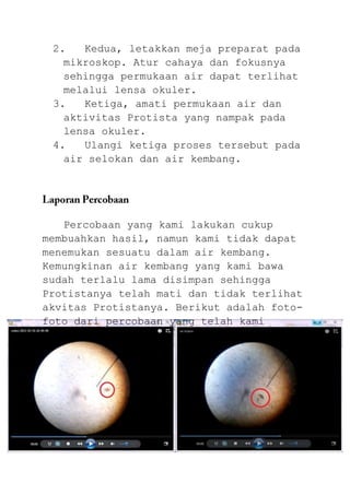2.   Kedua, letakkan meja preparat pada
   mikroskop. Atur cahaya dan fokusnya
   sehingga permukaan air dapat terlihat
   melalui lensa okuler.
 3.   Ketiga, amati permukaan air dan
   aktivitas Protista yang nampak pada
   lensa okuler.
 4.   Ulangi ketiga proses tersebut pada
   air selokan dan air kembang.




   Percobaan yang kami lakukan cukup
membuahkan hasil, namun kami tidak dapat
menemukan sesuatu dalam air kembang.
Kemungkinan air kembang yang kami bawa
sudah terlalu lama disimpan sehingga
Protistanya telah mati dan tidak terlihat
akvitas Protistanya. Berikut adalah foto-
foto dari percobaan yang telah kami
lakukan :
 