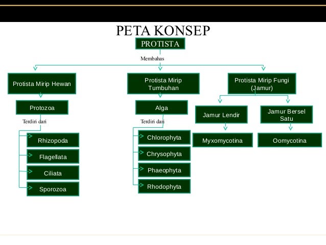 Protista