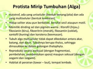 Protista Mirip Tumbuhan (Alga)
• Autotrof, ada yang uniseluler (bentuk benang/pita) dan ada
yang multiseluler (bentuk lembaran).
• Hidup soliter atau pun berkoloni, bersifat sesil ataupun motil.
• Memiliki dinding sel dan pigmen warna : Klorofil (hijau,)
fikosianin (biru), fikoeritrin (merah), fikosantin (coklat),
xantofil (kuning) dan karotena (keemasan).
• Tubuh alga multiseluler tidak dapat dibedakan antara akar,
batang, dan daun. Tubuhnya berupa thalus, sehingga
dimasukkan ke dalam golongan thalophyta.
• Reproduksi secara aseksual (dengan fragmentasi,
pembelahan, pembentukan spora) maupun seksual (dengan
oogami dan isogami).
• Habitat di perairan (tawar – laut), tempat lembab.
 