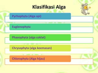 Klasifikasi Alga
Pyrhophyta (Alga api)
Euglenophyta
Phaeophyta (alga coklat)
Chrysophyta (alga keemasan)
Chlorophyta (Alga hijau)
 