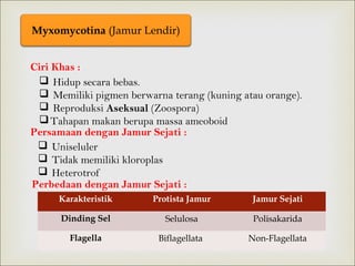 Myxomycotina (Jamur Lendir)
Ciri Khas :
 Hidup secara bebas.
 Memiliki pigmen berwarna terang (kuning atau orange).
 Reproduksi Aseksual (Zoospora)
 Tahapan makan berupa massa ameoboid
Persamaan dengan Jamur Sejati :
 Uniseluler
 Tidak memiliki kloroplas
 Heterotrof
Perbedaan dengan Jamur Sejati :
Karakteristik

Protista Jamur

Jamur Sejati

Dinding Sel

Selulosa

Polisakarida

Flagella

Biflagellata

Non-Flagellata

 