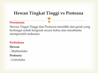 Hewan Tingkat Tinggi vs Protozoa



Persamaan
Hewan Tingat Tinggi dan Protozoa memiliki alat gerak yang
berfungsi untuk bergerak secara bebas dan membantu
memperoleh makanan.
Perbedaan
Hewan
- Multiseluler
Protozoa
- Uniseluler

 