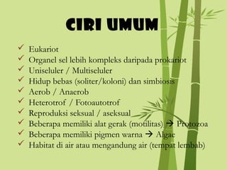 CIRI UMUM











Eukariot
Organel sel lebih kompleks daripada prokariot
Uniseluler / Multiseluler
Hidup bebas (soliter/koloni) dan simbiosis
Aerob / Anaerob
Heterotrof / Fotoautotrof
Reproduksi seksual / aseksual
Beberapa memiliki alat gerak (motilitas)  Protozoa
Beberapa memiliki pigmen warna  Algae
Habitat di air atau mengandung air (tempat lembab)

 