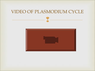 VIDEO OF PLASMODIUM CYCLE



 