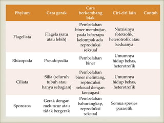 Phylum

Cara gerak

Flagellata

Flagela (satu
atau lebih)

Rhizopoda

Pseudopodia

Ciliata

Silia (seluruh
tubuh atau
hanya sebagian)

Sporozoa

Gerak dengan
meluncur atau
tidak bergerak

Cara
berkembang
biak

Ciri-ciri lain

Pembelahan
Nutrisinya
biner membujur,
fototrofik,
pada beberapa
heterotrofik atau
kelompok ada
keduanya
reproduksi
seksual
Umumnya
Pembelahan
hidup bebas,
biner
heterotrofik



Pembelahan
biner melintang,
reptoduksi
seksual dengan
konjugasi
Pembelahan
bahurangkap,
reproduksi
seksual

Umumnya
hidup bebas,
heterotrofik

Semua spesies
parasitik

Contoh

 