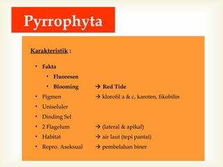 Pyrrophyta
Karakteristik :
• Fakta
• Fluoresen
• Blooming
• Pigmen

 Red Tide
 klorofil a & c, karoten, fikobilin

• Uniseluler
• Dinding Sel
• 2 Flagelum

 (lateral & apikal)

• Habitat

 air laut (tepi pantai)

• Repro. Aseksual

 pembelahan biner

 