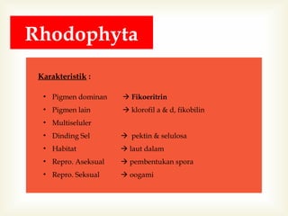 Rhodophyta
Karakteristik :
• Pigmen dominan

 Fikoeritrin

• Pigmen lain

 klorofil a & d, fikobilin

• Multiseluler
• Dinding Sel

 pektin & selulosa

• Habitat

 laut dalam

• Repro. Aseksual

 pembentukan spora

• Repro. Seksual

 oogami

 
