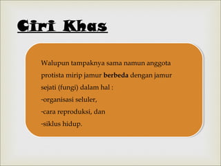 Ciri Khas
Walupun tampaknya sama namun anggota
protista mirip jamur berbeda dengan jamur
sejati (fungi) dalam hal :
-organisasi seluler,
-cara reproduksi, dan
-siklus hidup.

 