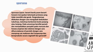 Sporozoa (spora berarti benih,zoom berarti 
hewan) merupakan kelompok protozoa yang 
tidak memiliki alat gerak. Pergerakannya 
dilakukan dengan cara mengubah kedudukan 
tubuhnya, tubuhnya berbentuk bulat panjang 
atau lonjong. Pada umumnya bersifat parasit 
dan menyebabkan penyakit pada manusia dan 
hewan,respirasi dan ekskresi dengan cara 
difusi,makanan di peroleh dengan cara 
menyerap zat makanan dari hospesnya dan 
bereproduksi secara vegetatif dan generatif 
 
