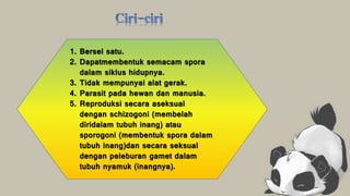 1. Bersel satu. 
2. Dapatmembentuk semacam spora 
dalam siklus hidupnya. 
3. Tidak mempunyai alat gerak. 
4. Parasit pada hewan dan manusia. 
5. Reproduksi secara aseksual 
dengan schizogoni (membelah 
diridalam tubuh inang) atau 
sporogoni (membentuk spora dalam 
tubuh inang)dan secara seksual 
dengan peleburan gamet dalam 
tubuh nyamuk (inangnya). 
 