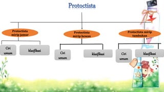 Protoctista 
mirip jamur 
Protoctista mirip 
tumbuhan 
Protoctista 
mirip hewan 
Ciri 
umum 
klasifikasi 
Ciri 
umum 
klasifikasi Ciri 
umum 
klasifikasi 
 