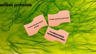 Klasifikasi protoctista 
 