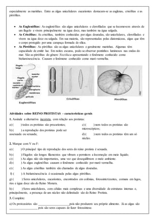 especialmente as marinhas. Entre as algas unicelulares eucariontes destacam-se as euglenas, crisófitas e as
pirrófitas.
 As Euglenófitas: As euglenófitas são algas unicelulares e clorofiladas que se locomovem através de
um flagelo e vivem principalmente na água doce, mas também na água salgada.
 As Crisófitas: As crisófitas, também conhecidas por algas douradas, são unicelulares, clorofiladas e
vivem na água doce ou salgada. Em sua maioria, são representadas pelas diatomáceas, algas que têm
o corpo protegido por uma carapaça formada de sílica.
 As Pirrófitas: As pirrófitas são as algas unicelulares e geralmente marinhas. Algumas têm
capacidade de emitir luz. Em noites escuras, pode-se observar pontinhos luminosos nas ondas do
mar. São as pirrófitas do gênero Noctiluca apresentando o fenômeno conhecido como
bioluminescência. Causam o fenômeno conhecido como maré-vermelha.
Atividades sobre REINO PROTISTAS – características gerais
1. Assinale a alternativa incorreta, com relação aos protistas:
a) ( ) todos os protistas são procariontes;
b) ( ) a reprodução dos protistas pode ser
assexuada ou sexuada;
c) ( ) nem todos os protistas são
microscópicos;
d) ( ) nem todos os protistas têm um só
núcleo.
2. Marque com V ou F:
a) ( ) O principal tipo de reprodução dos seres do reino protista é sexuada.
b) ( ) Flagelos são longos filamentos que vibram e permitem a locomoção em meio líquido.
c) ( ) As algas não são importantes, uma vez que desequilibram o meio ambiente.
d) ( ) As algas euglenófitas causam o fenômeno conhecido por maré-vermelha.
e) ( ) As algas crisófitas também são chamadas de algas douradas.
f) ( ) A bioluminescência é ocasionada pelas algas pirrófitas.
g) ( ) Seres unicelulares, eucariontes, encontrados em colônias, fotossintetizantes, comuns em lagos,
rios e água doce são do Reino Monera.
h) ( ) Seres unicelulares, com células mais complexas e uma diversidade de estruturas internas e,
principalmente, a presença de um núcleo não delimitado são do Reino Protista.
3. Complete:
a) Os protozoários são ____________________pois não produzem seu próprio alimento. Já as algas são
__________________ pois são seres capazes de fazer fotossíntese.
 