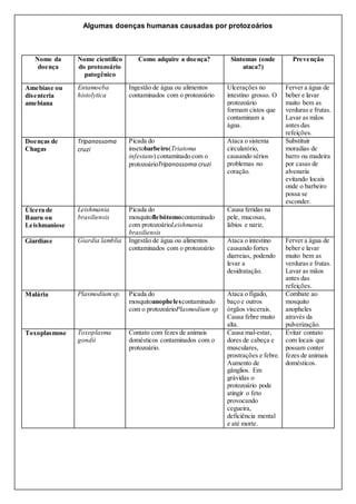 Algumas doenças humanas causadas por protozoários
Nome da
doença
Nome científico
do protozoário
patogênico
Como adquire a doença? Sintomas (onde
ataca?)
Prevenção
Amebíase ou
disenteria
amebiana
Entamoeba
histolytica
Ingestão de água ou alimentos
contaminados com o protozoário
Ulcerações no
intestino grosso. O
protozoário
formam cistos que
contaminam a
água.
Ferver a água de
beber e lavar
muito bem as
verduras e frutas.
Lavar as mãos
antes das
refeições.
Doenças de
Chagas
Tripanossoma
cruzi
Picada do
insetobarbeiro(Triatoma
infestans) contaminado com o
protozoárioTripanossoma cruzi
Ataca o sistema
circulatório,
causando sérios
problemas no
coração.
Substituir
moradias de
barro ou madeira
por casas de
alvenaria
evitando locais
onde o barbeiro
possa se
esconder.
Úlcera de
Bauru ou
Leishmaniose
Leishmania
brasiliensis
Picada do
mosquitoflebótomocontaminado
com protozoárioLeishmania
brasiliensis
Causa feridas na
pele, mucosas,
lábios e nariz.
Giardíase Giardia lamblia Ingestão de água ou alimentos
contaminados com o protozoário
Ataca o intestino
causando fortes
diarreias, podendo
levar a
desidratação.
Ferver a água de
beber e lavar
muito bem as
verduras e frutas.
Lavar as mãos
antes das
refeições.
Malária Plasmodiumsp. Picada do
mosquitoanophelescontaminado
com o protozoárioPlasmodium sp
Ataca o fígado,
baço e outros
órgãos viscerais.
Causa febre muito
alta.
Combate ao
mosquito
anopheles
através da
pulverização.
Toxoplasmose Toxoplasma
gondii
Contato com fezes de animais
domésticos contaminados com o
protozoário.
Causa mal-estar,
dores de cabeça e
musculares,
prostrações e febre.
Aumento de
gânglios. Em
grávidas o
protozoário pode
atingir o feto
provocando
cegueira,
deficiência mental
e até morte.
Evitar contato
com locais que
possam conter
fezes de animais
domésticos.
 