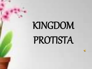 KINGDOM
PROTISTA
 