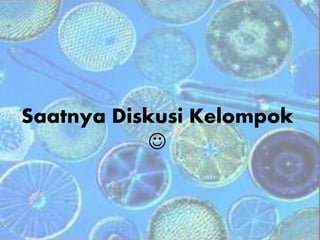 Saatnya Diskusi Kelompok

 
